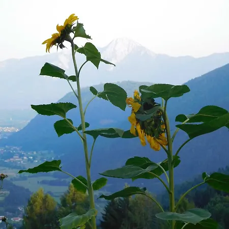 Bio - Bischof, Familie Wind *